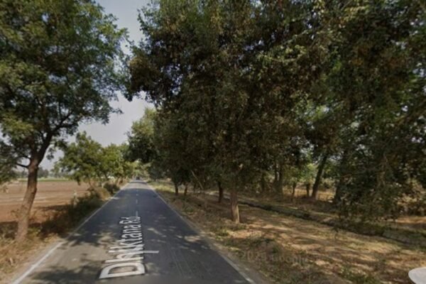 Agriculture land for Sale in Dhansu