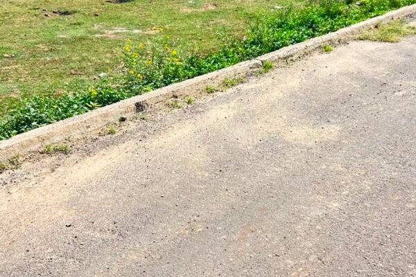 550 Gaj North Facing Plot for Sale in Sector 14 Hisar
