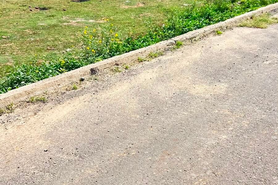 550 Gaj North Facing Plot for Sale in Sector 14 Hisar